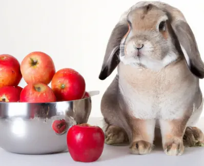 Can rabbits eat apples 1024x1024